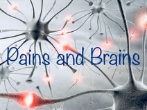 image of brain synapses firing